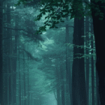 Sdajfasdfa: Exploring the Layers of a Digital Mystery