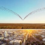 Flock : Geese :: Business : Organization — A Step-by-Step Guide