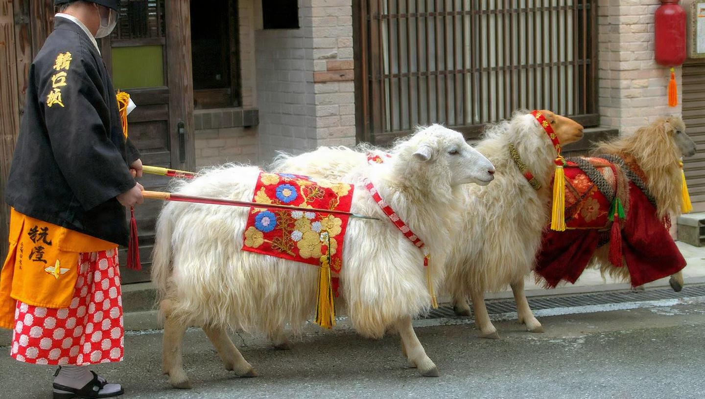 Hitsujikai Arupaka: Exploring Its Hidden Origins and True Significance