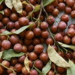 Why Žižole (Jujube) Is Good for You — Nutrition & Wellness Tips