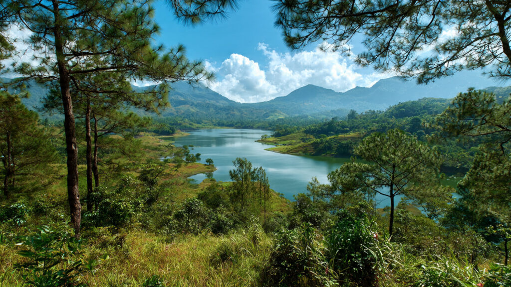 A Day in Haskawana: Where Nature Lovers Find Their Escape