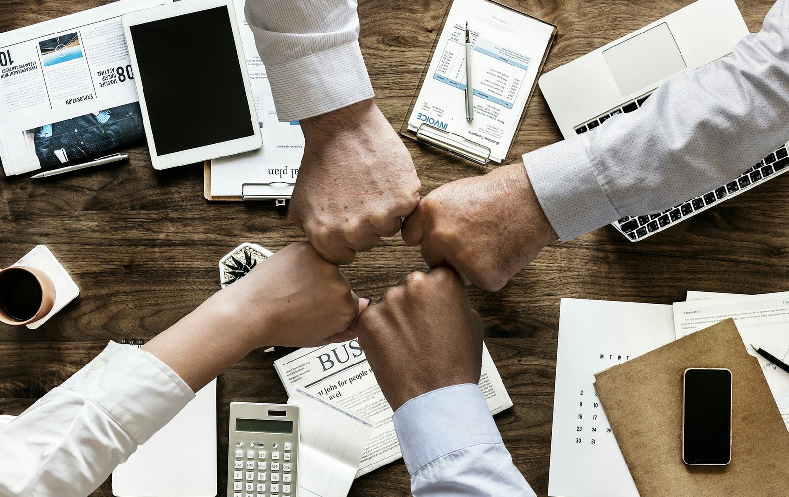 EQT and Anticimex: The Roll-Up Strategy Behind a Global Pest Control Empire