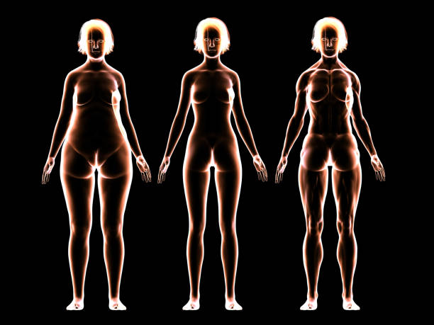Iofbodies.com Explained: Everything You Need to Know